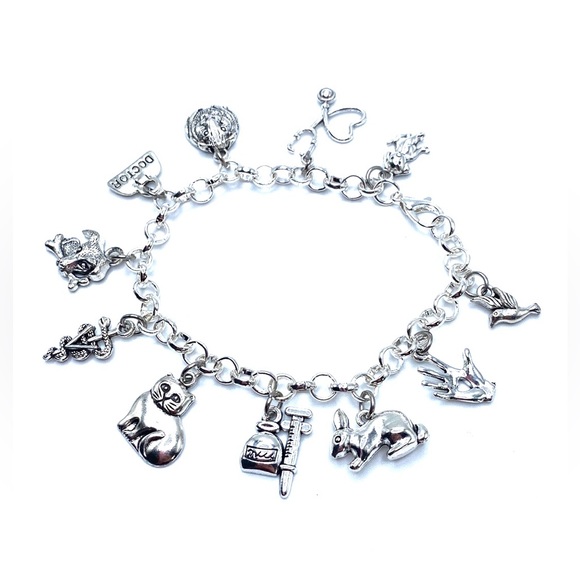 Veterinarian Charm Bracelet Animal Doctor - Picture 7 of 7